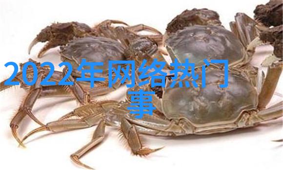 梦见女人送男人皮带是什么意思