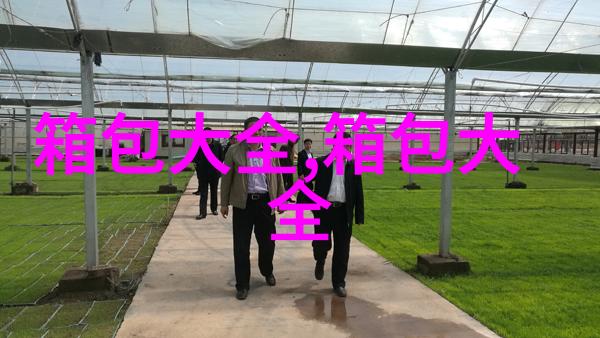 LV包包官网的最新款在哪里找到