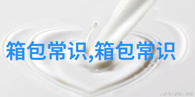 白色帆布包被颜料弄脏怎么漂白