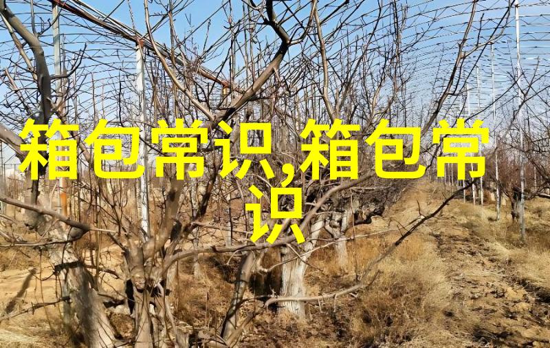 圣诞节搞笑女文案
