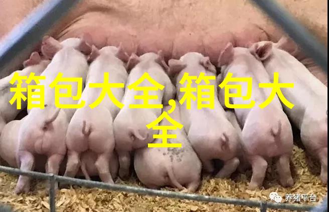 谁可以帮我介绍一下lv波士顿