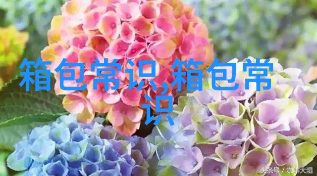 暴走漫画表情包原型
