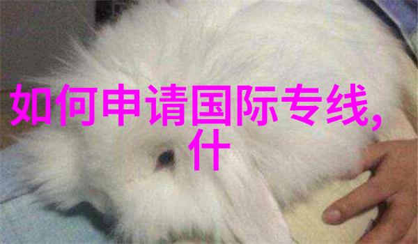 董力沈月董岩磊3位初恋系艺人的挚爱竟然是TA